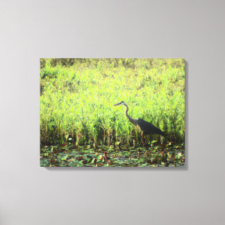 Heron 6449 canvas print