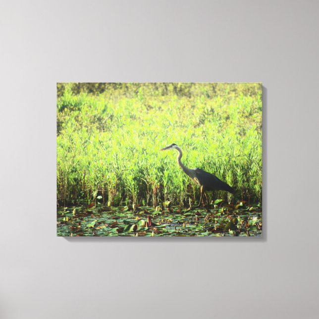 Heron 6449 canvas print (Front)
