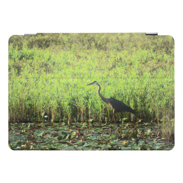 Heron 6449 iPad pro cover (Horizontal)