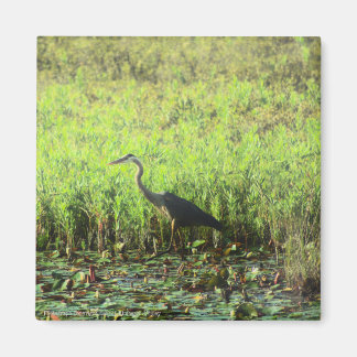 Heron 6449 magnet