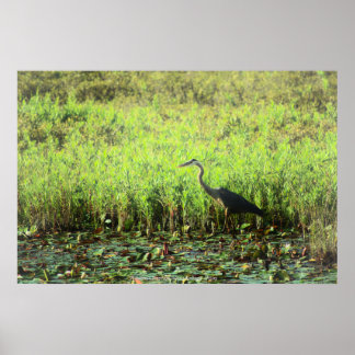 Heron 6449 poster