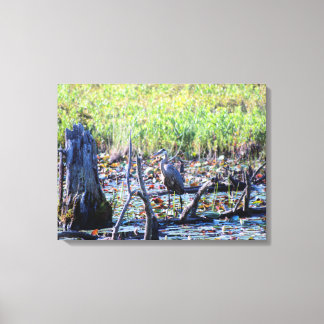 Heron 6467 canvas print