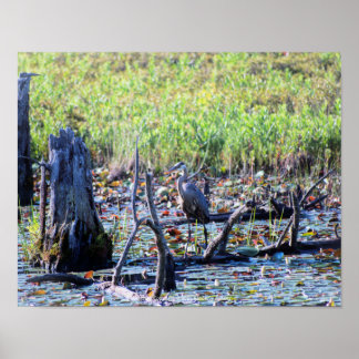 Heron 6467 poster