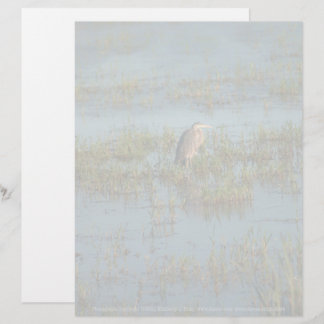 Heron 6937