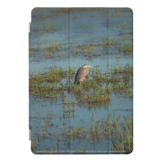 Heron 6937 iPad pro cover