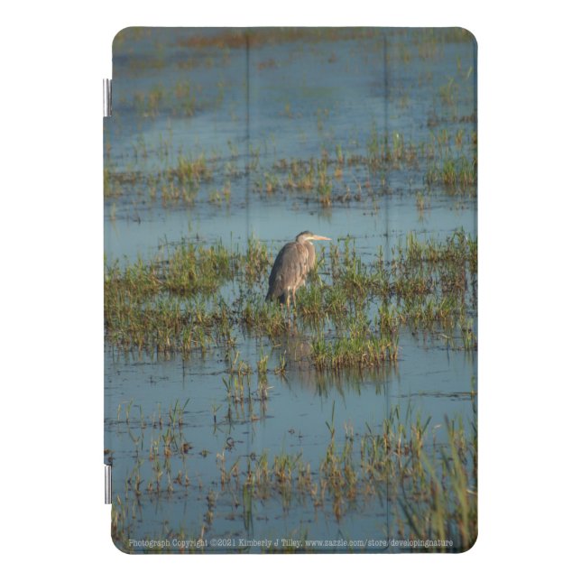 Heron 6937 iPad pro cover (Front)