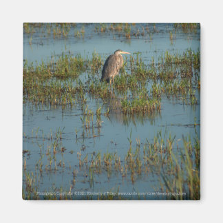 Heron 6937 magnet