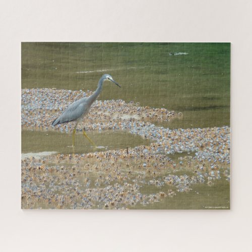 Heron and baby crabs tricky jigsaw puzzle