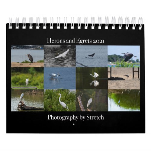 Heron and Egret Photography 2021 Calendar