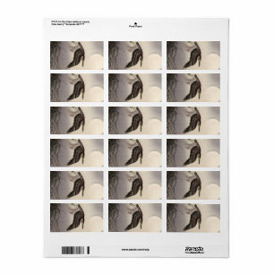 Heron at Full Moon, 1900-1930 by Ohara Koson Label