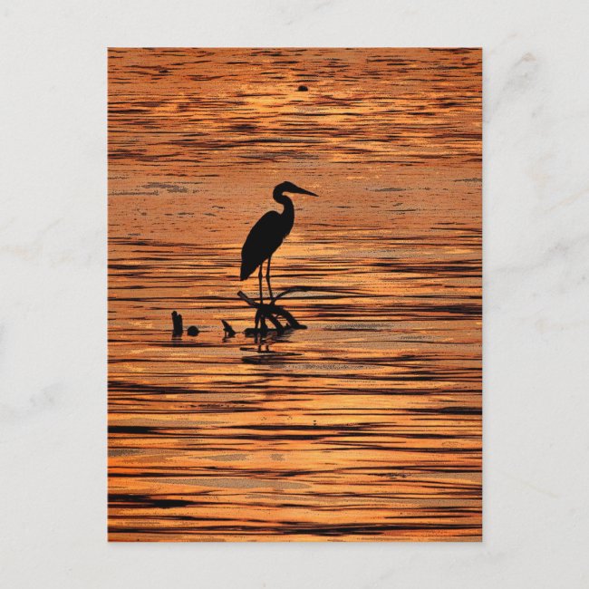 Heron at Sunset