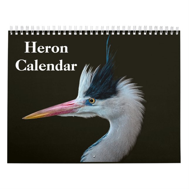 Heron Bird 2027 Calendar (Cover)