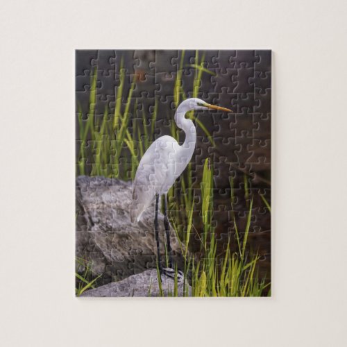 Heron Bird Nature River Rocks Jigsaw Puzzle