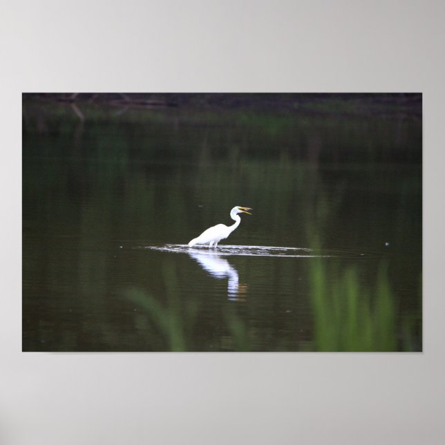 Heron Bird on Water Poster (Front)