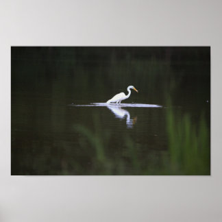 Heron Bird on Water Poster