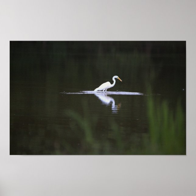 Heron Bird on Water Poster (Front)