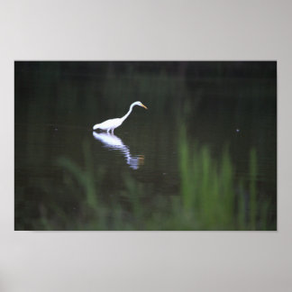 Heron Bird on Water Poster