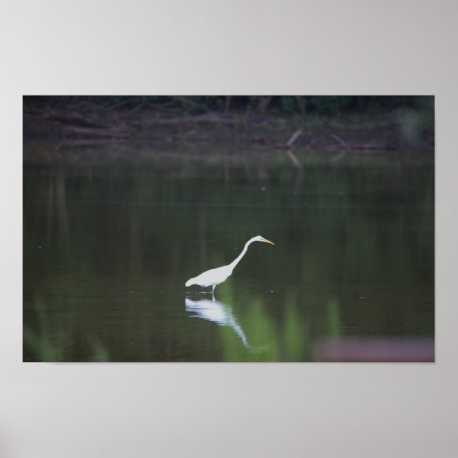Heron Bird on Water Poster (Front)