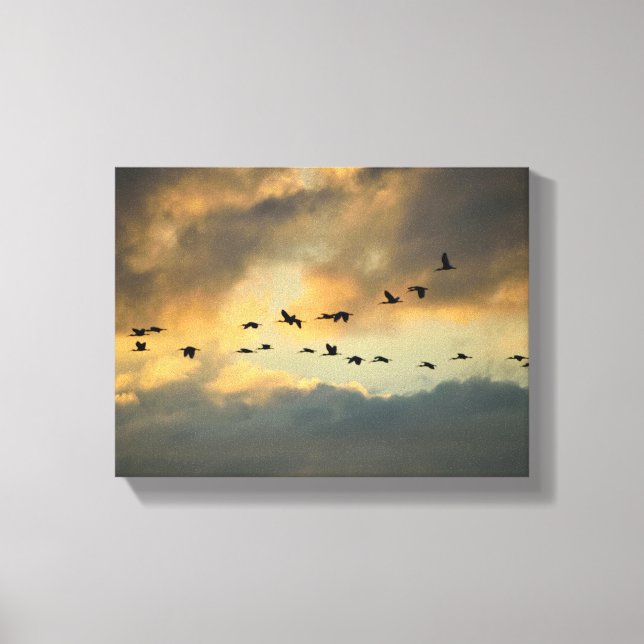 Heron birds migrating at sunset canvas print (Front)