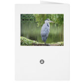 Heron by a lake Card (Back)