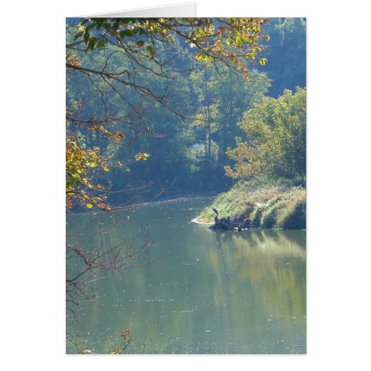 Heron by the River Cards (Front)