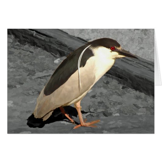 Heron - Card (Front Horizontal)