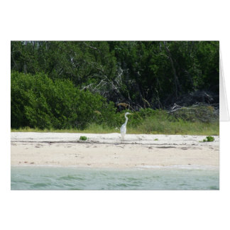Heron Cards
