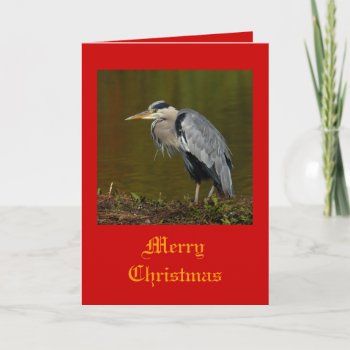 Heron Christmas Cards by Welshpixels at Zazzle