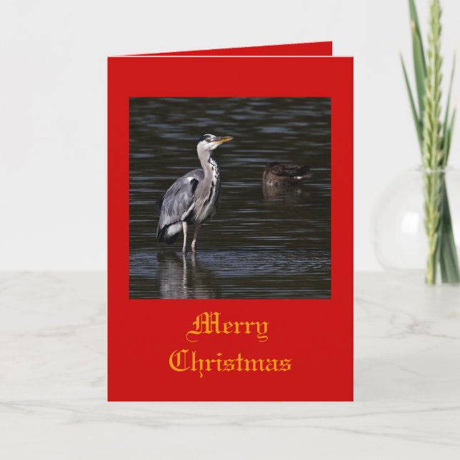 Heron Christmas Cards (Front)