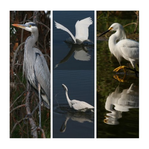Heron Egret Birds Wildlife Animal Triptych