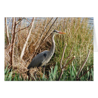 Heron Enjoying Sunshine Cards
