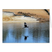 Heron Enjoying the Golf Course (Front Horizontal)