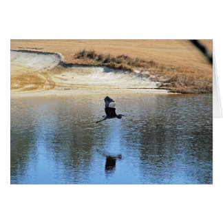 Heron Enjoying the Golf Course Cards