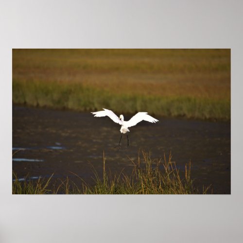 Heron Flying over Water Poster