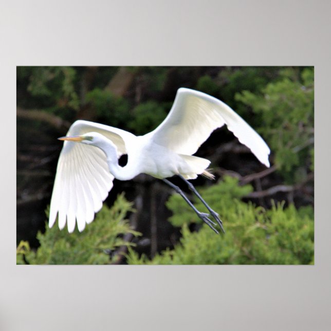 Heron Flying Poster (Front)