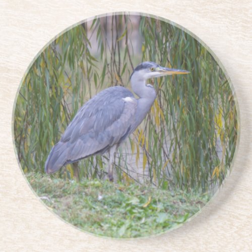 heron in autumn coaster