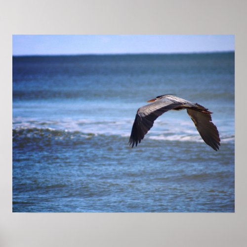 Heron in Flight Over the Ocean Color 16x20 Poster
