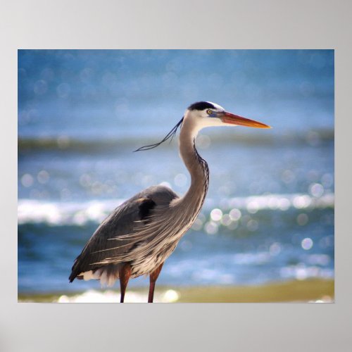 Heron in Front of the Ocean Waves Color 16x20  Poster