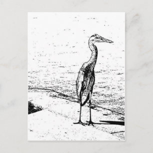 Heron In Ink Postcard