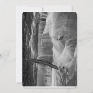 Heron in the Falls Holiday Card