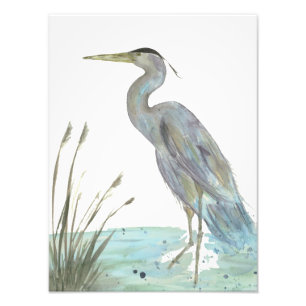Heron in the Marsh Watercolor Photo Print