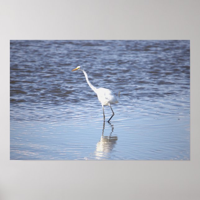 Heron in the Water Poster (Front)