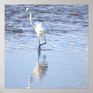 Heron in the Water Poster