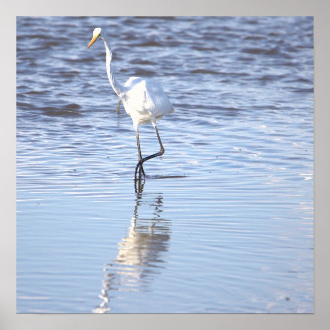 Heron in the Water Poster (Front)