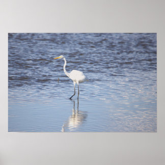 Heron in the Water Poster