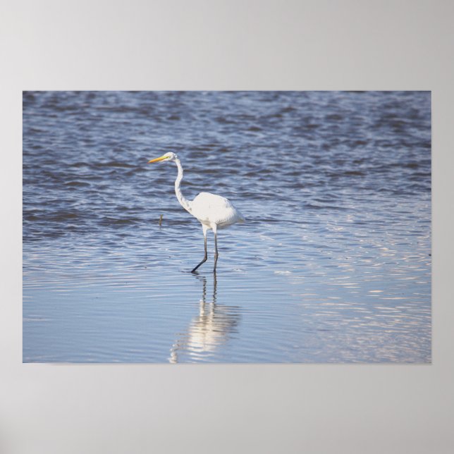 Heron in the Water Poster (Front)