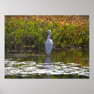 Heron in Water Poster