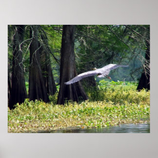 Heron Landing Poster