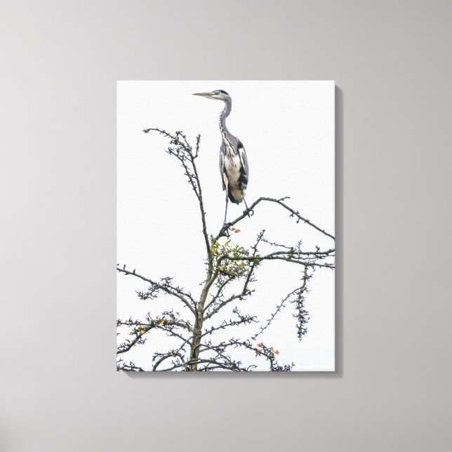 Heron on a tree view canvas print (Front)