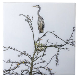 Heron on a tree view ceramic tile